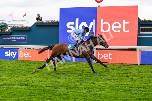 150525-Merchant-5344 - Race 7 5.25pm Haxby Handicap