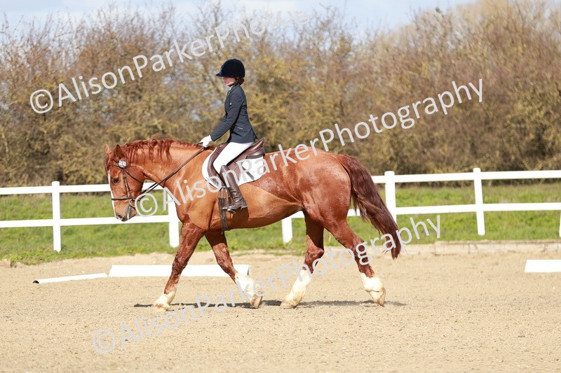 20260314-2921 - DR3 - Prelim 1