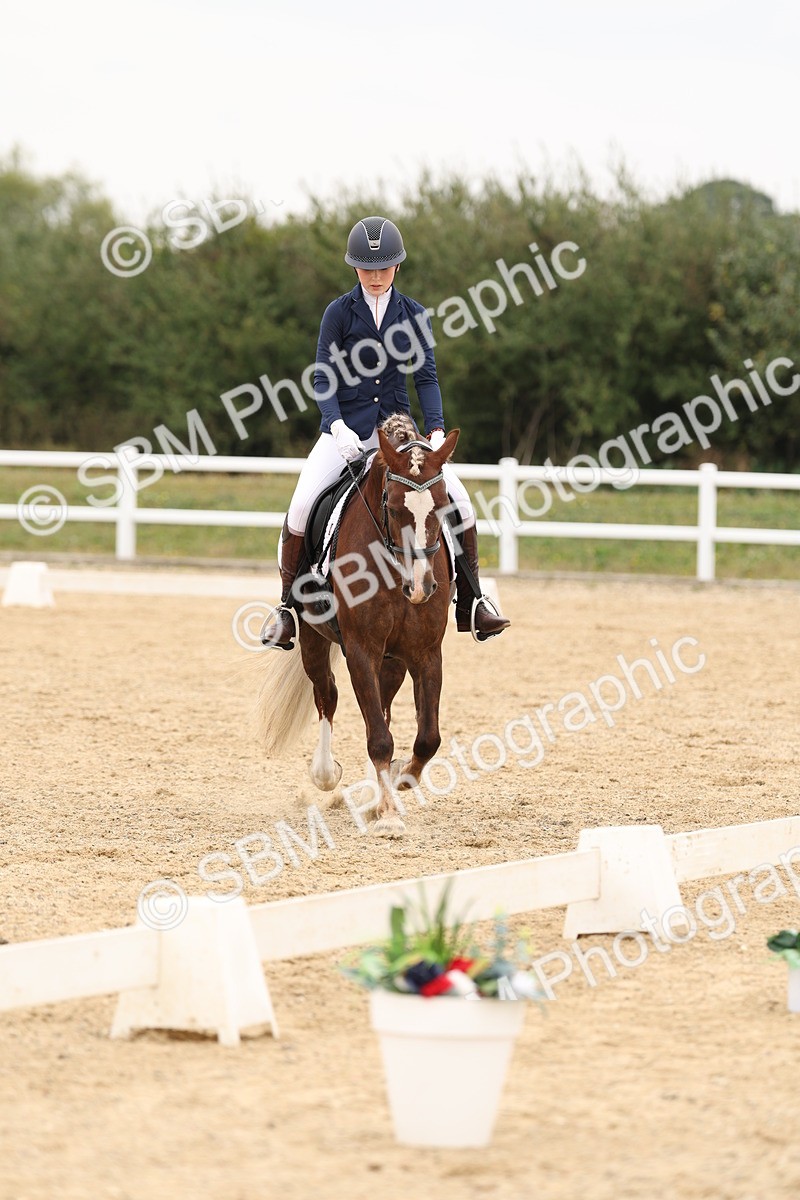 SBM_01045 - Class 8 - Novice 27 Champs