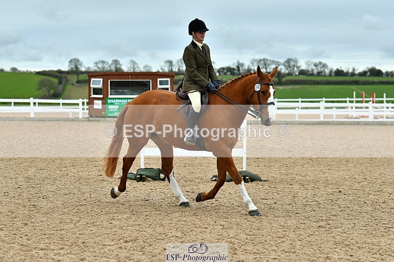 230416A-143043-05248 - Cls 74 Warmblood
