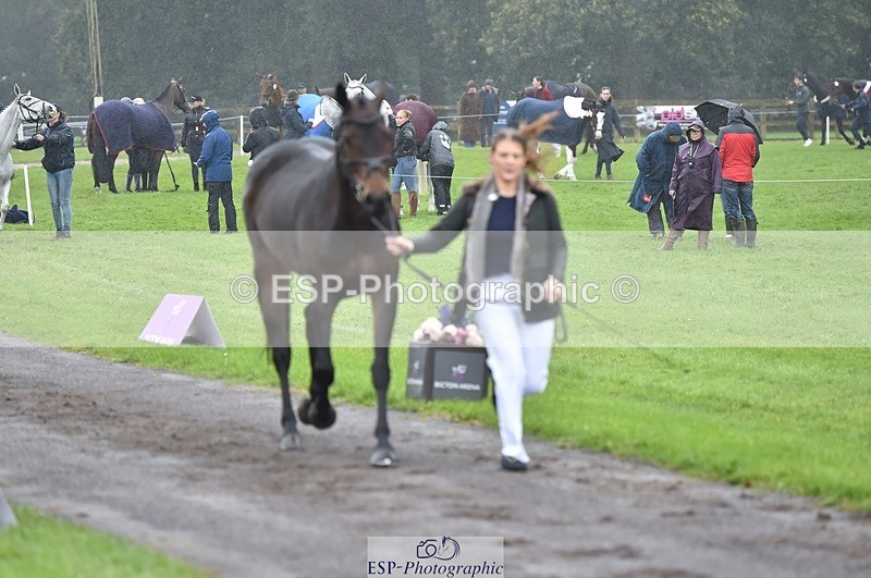 231018-121126-00126 - 021-DESTINY-Annie.Smith-TrotUp