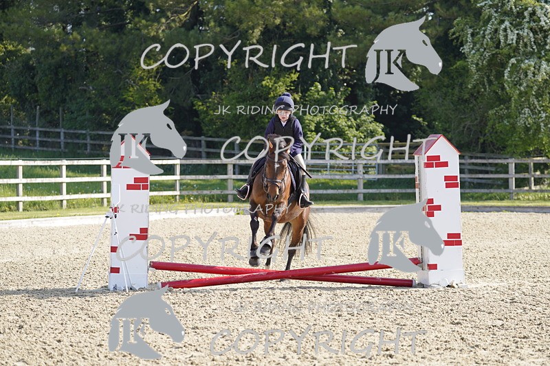 _DSC6475 - USJL Oakingham Stud 27.04.25