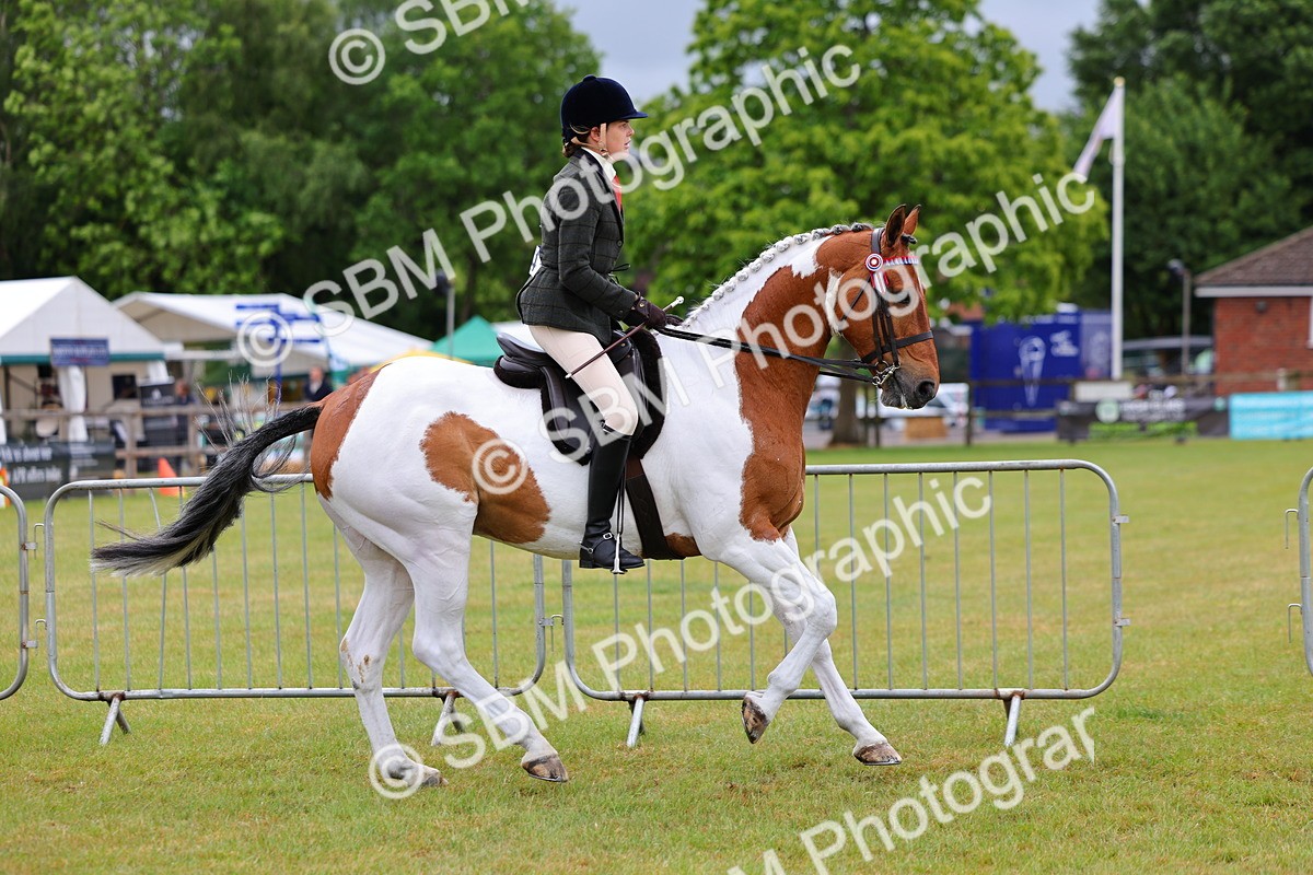 SBM_02505 - Class 9-11 Side Saddle including LIHS Rising Star Ladies Show Horse