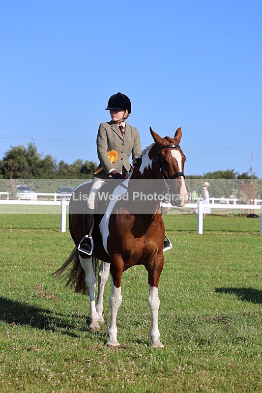 IMG_1345 - Class 27: Ridden Plaited Coloured Horse