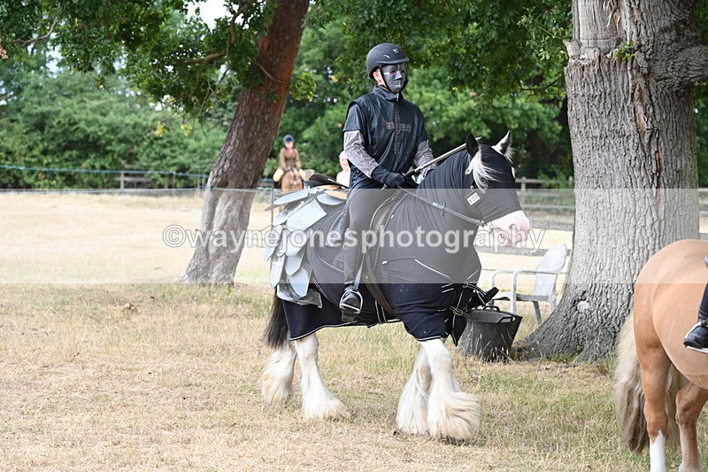 WJ6_8898 - Class 11 Fancy Dress