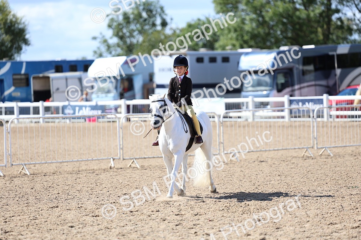 SBM_13136 - Class 310 - First Ridden Pony
