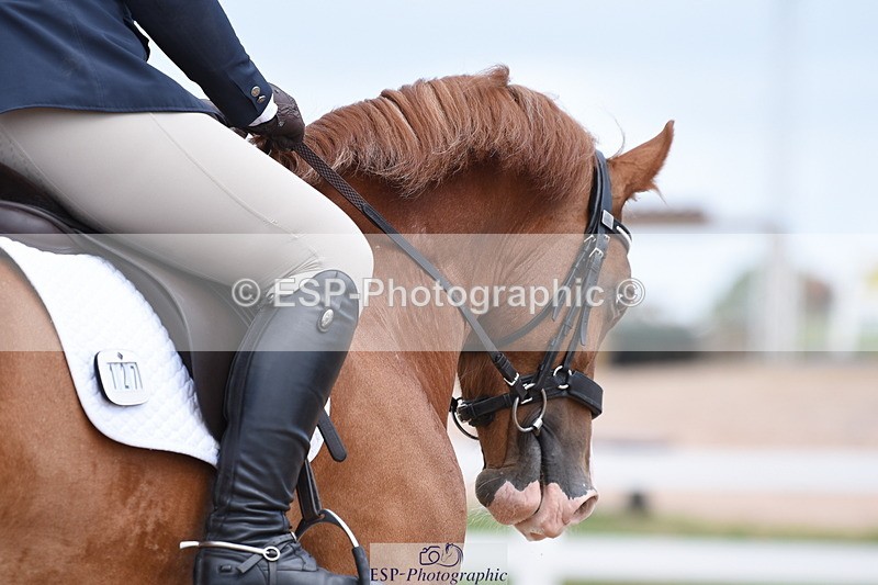 230702A-132434-10350 - Cls 1, 3+4 Intro A, Prelim 12+18