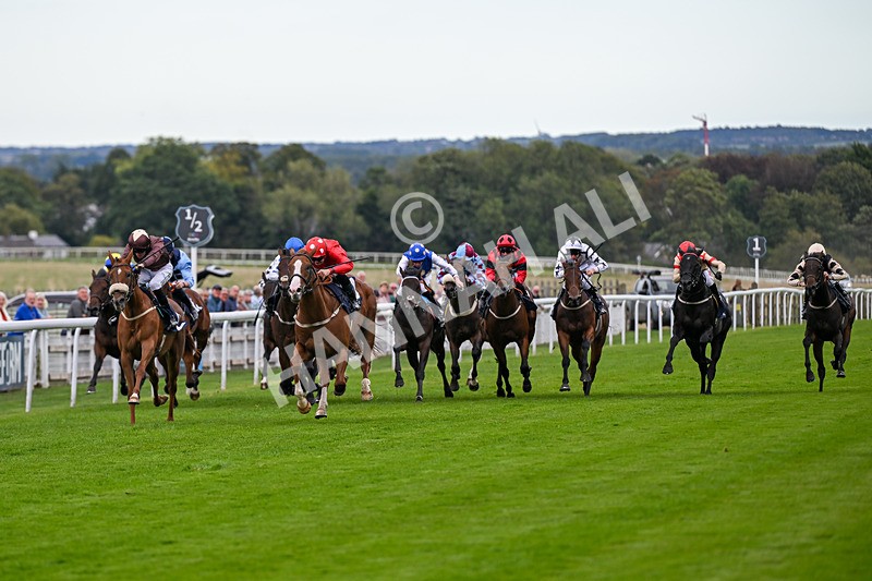 160926-Race 4-Woodvale-0618 - Race 4 3.48pm EBF Restricted Maiden Stakes