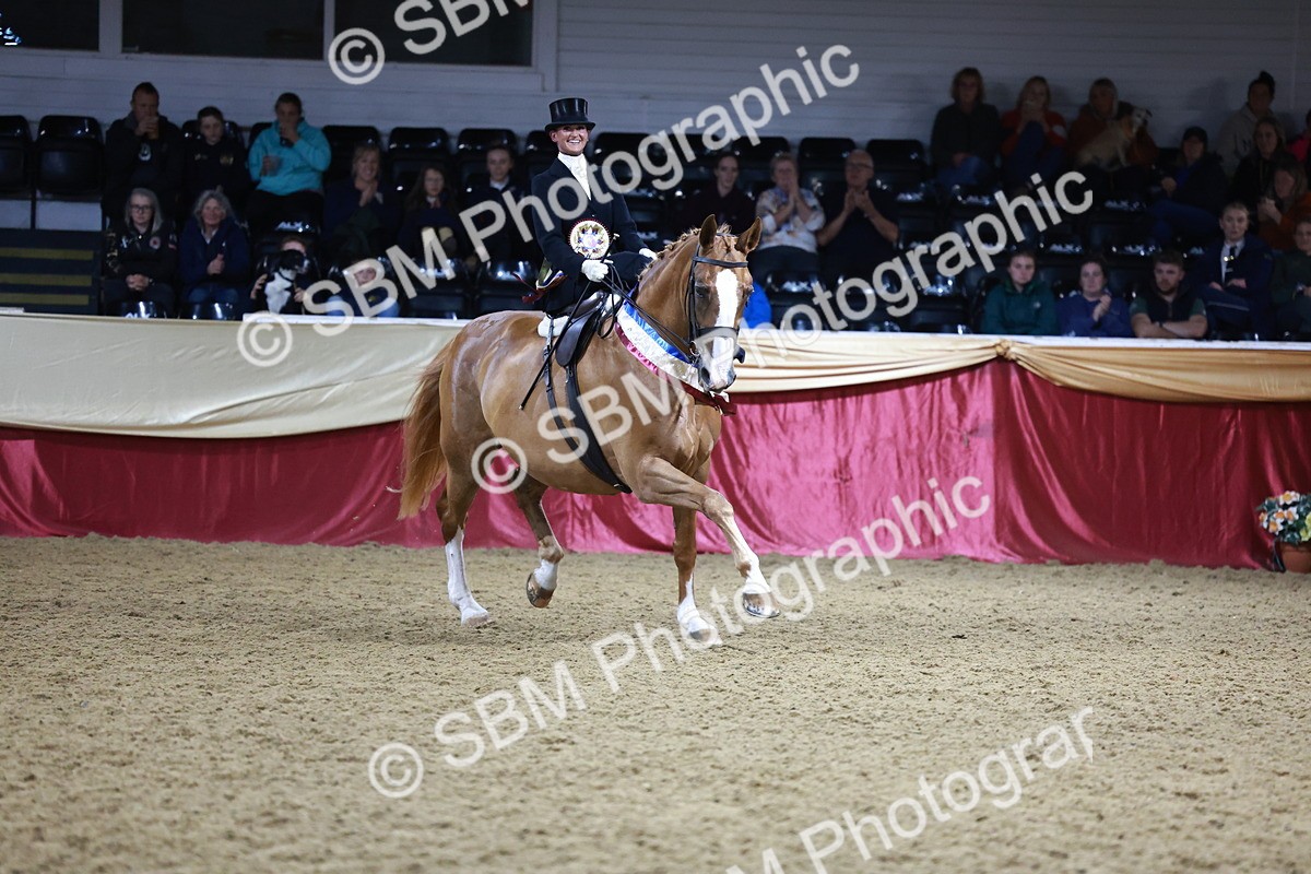 SBM_20973 - Class N - Side Saddle Champ