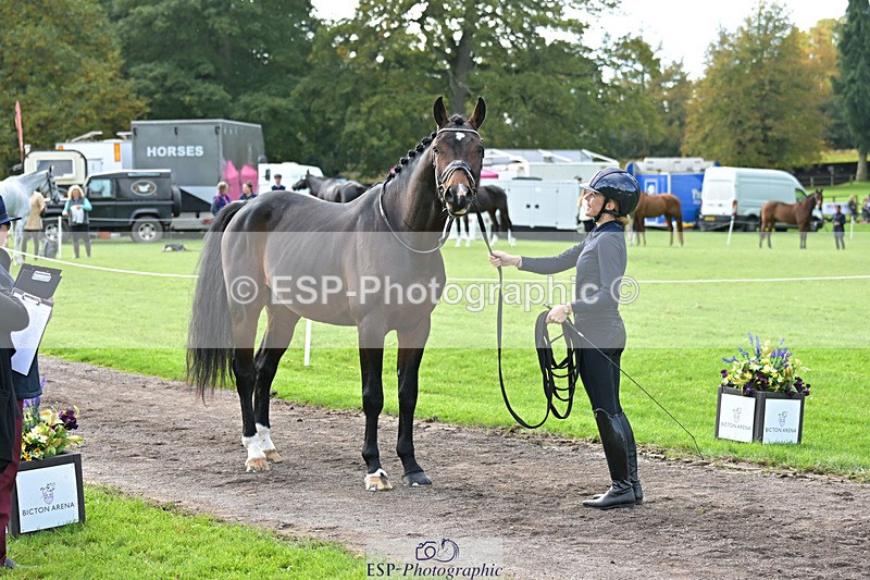 241023-131921-00204 - 012-Mollie.Summerland-SKITTEL.D'EKWI