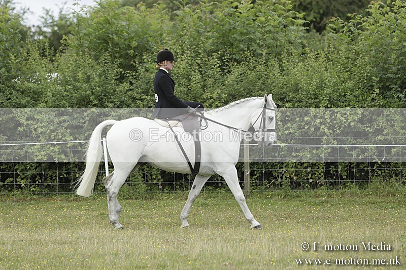 BVR160717-2339 - Side Saddle Classes 16/07/17