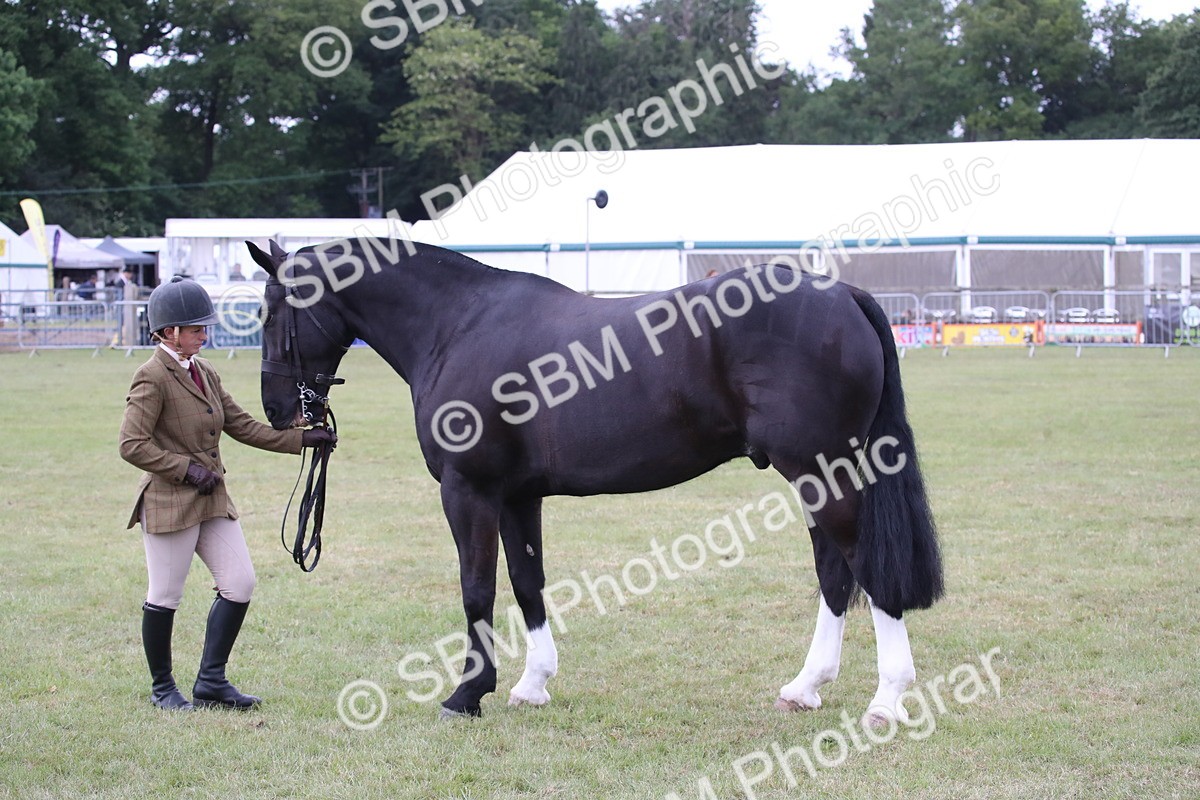 SBM_11278 - Class 92-93 - LIHS BSHA Rising Star Cobs