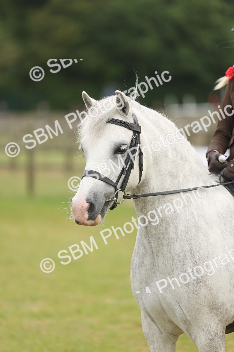 SBM_06890 - Class 74-75 - M&M Lead Rein and First Ridden Pony