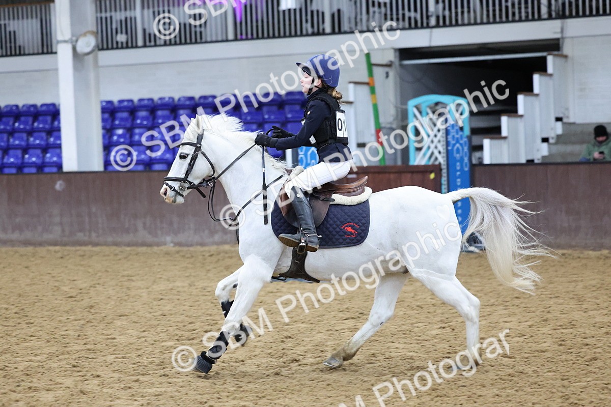 SBM_001018 - Class 3 - Christmas Tree Stakes - 60cm