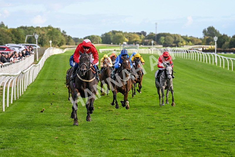 021024-Race 6-Redrosezorro-9644 - Race 6