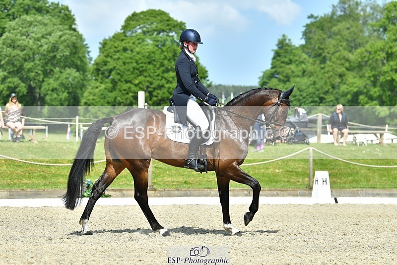 230525-102737-03901 - 412-SAN_SOLO-Imo_Brook-DR