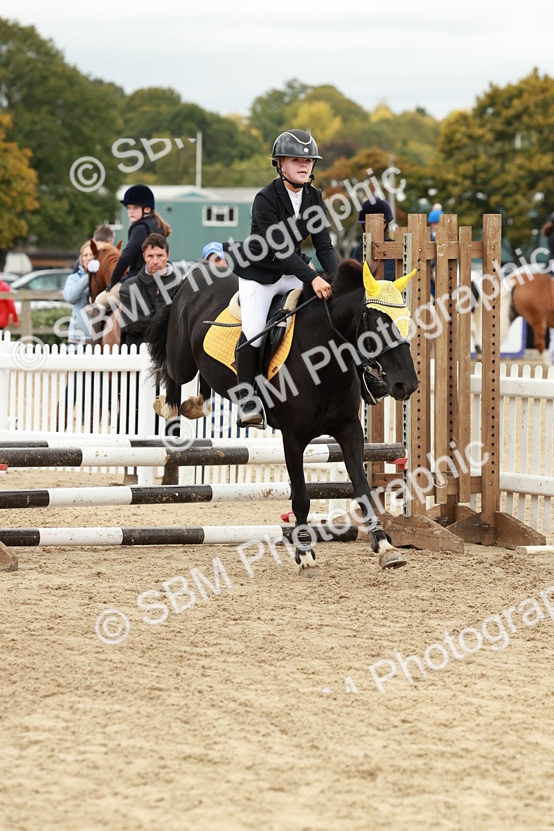 SBM_67119 - J13 - Junior Pony 60cm Championship