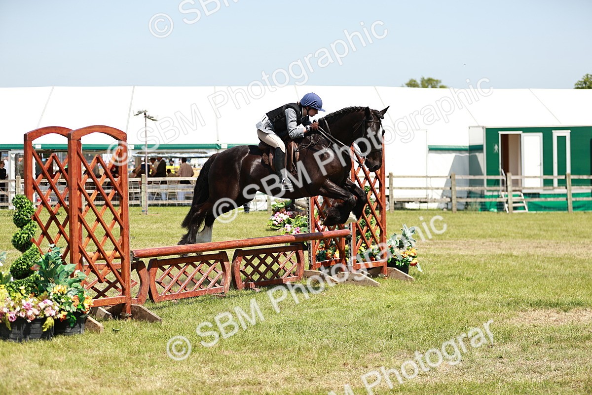 SBM_16397 - Class 110-111 - Training Stakes (70cms 80cms)