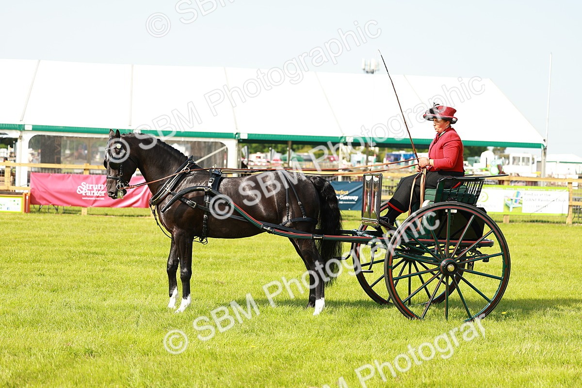 SBM_01227 - Class 2-4 - HOYS Private Driving
