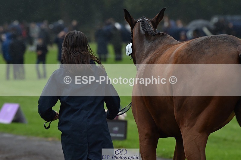 231018-120810-00099 - 010-ERASMUS.BRUMBLE-April.Masters-TrotUp