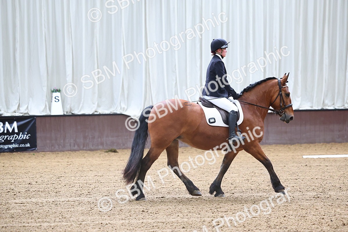 SBM_004153 - Class 1 - Intro 2-3