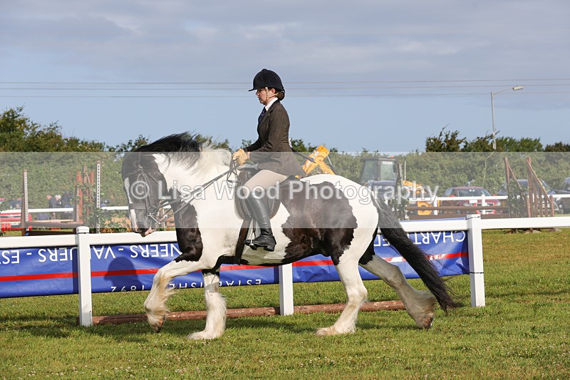 1X9A3144 - Class 27:  Ridden Native/Trad Coloured Horse