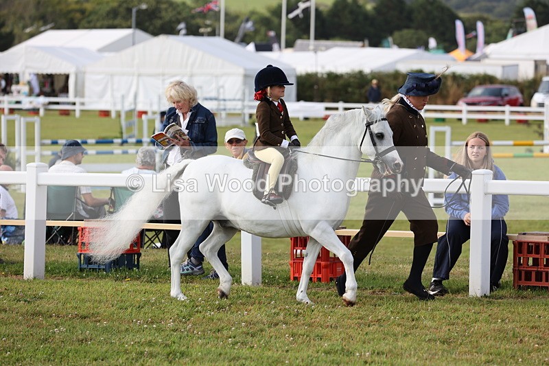 JPP_0249 - Class 14: Cornish Combination Leading Rein