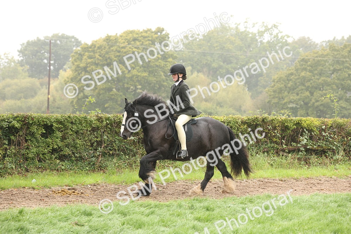 SBM_72726 - S70 - Traditional Cob Ridden