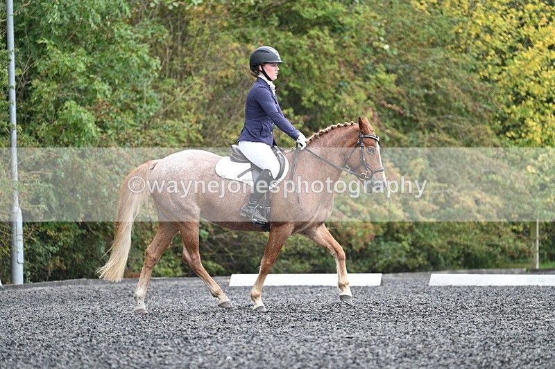 WJ7_3733 - Time 11:04 to 11:38