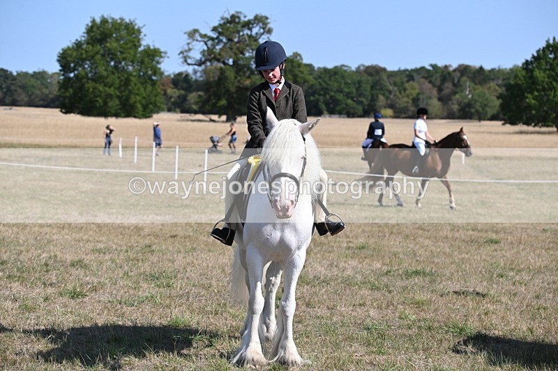 WJ6_7682 - Class 34 Judges Choice
