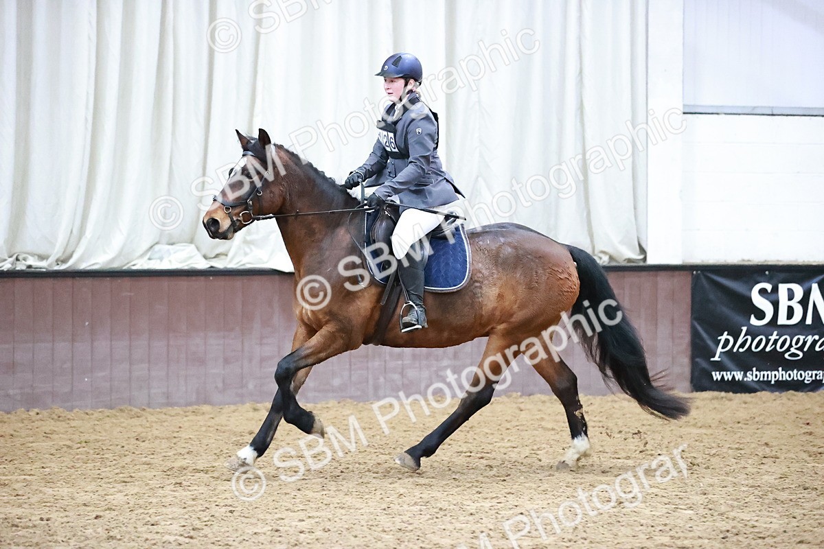 SBM_000115 - Class 1 - Cross Pole Jumping 30cm 40cm