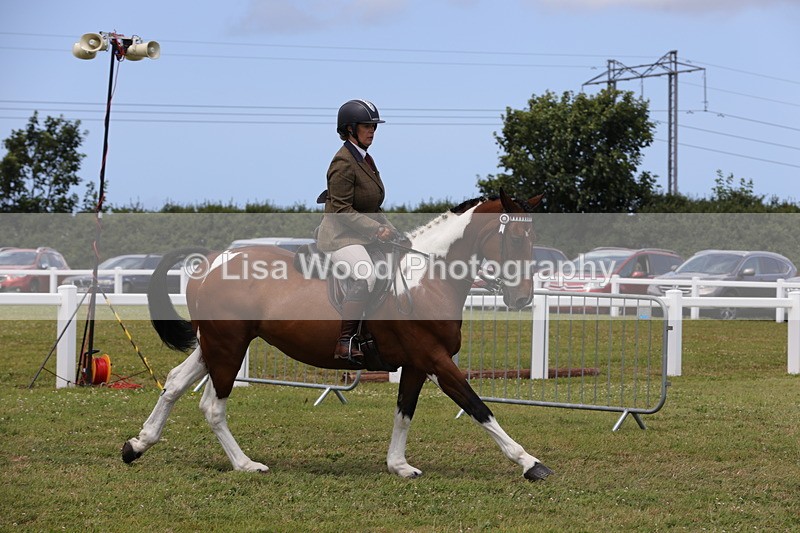 1X9A4364 - Class 34: Veteran Ridden