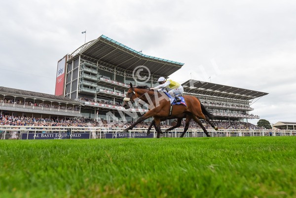 230823-Race 5-Forza Orta-1030 - Race 5 4.10pm Sky Bet Stayers Handicap