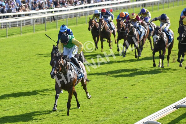 yr08102021r2-18 - Race 2 2.40pm Racing to School EBF Novice Stakes