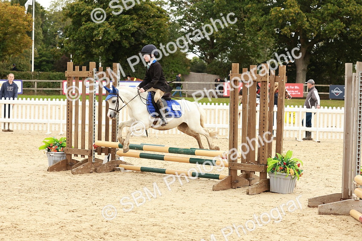 SBM_65237 - Supreme Championship 50cm & 55cm
