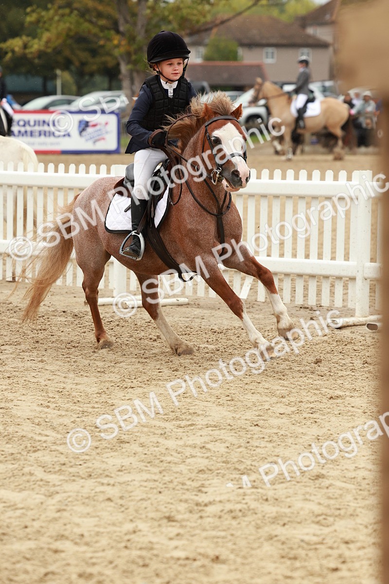 SBM_69164 - J13 - Junior Pony 60cm Championship