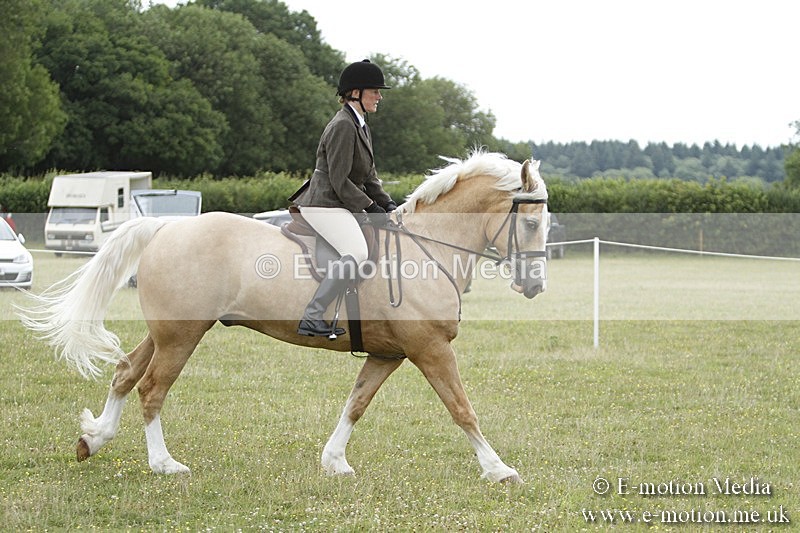 BVR160717-422 - Ring 3 BVRC Show 16/07/17