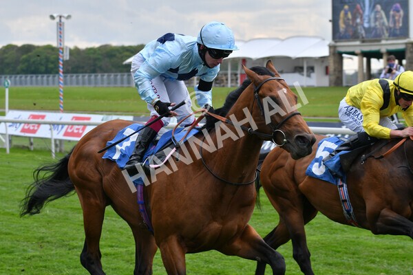 yr12052021r3-21 - Race 3 2.40pm Duke of York Clipper Logistics Stakes