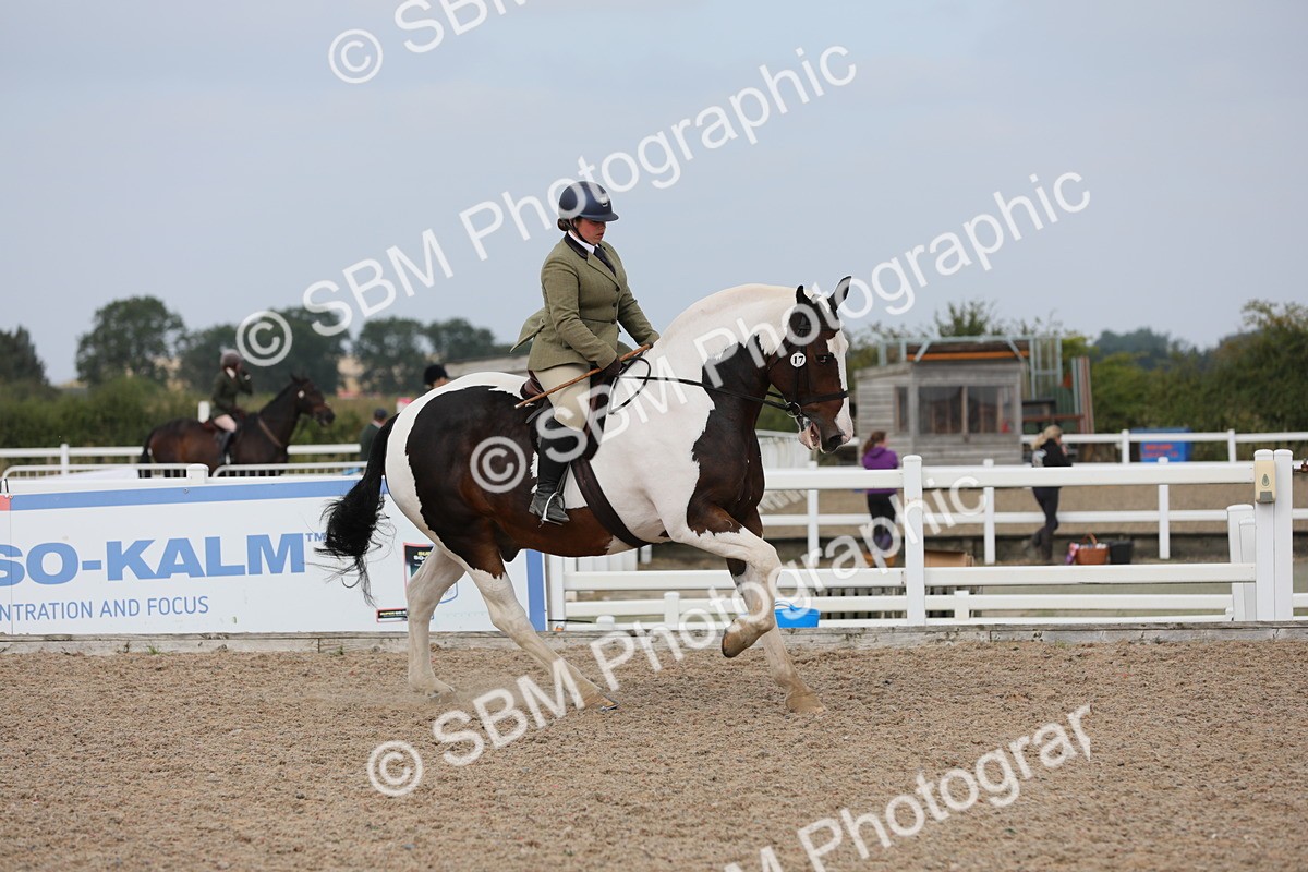 SBM_16950 - Class 314 Family Horse/Pony