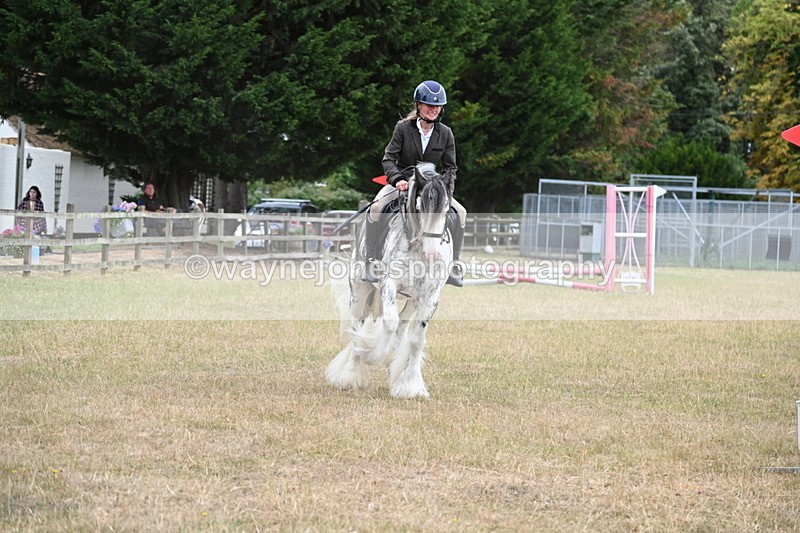 WJ6_9701 - Class 12 Minimus Jumping 45cm