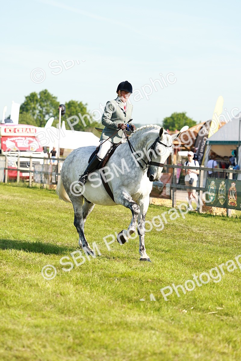 SBM_11863 - Class 66-69 - RIHS Ridden Hunters Inc Small Hunter