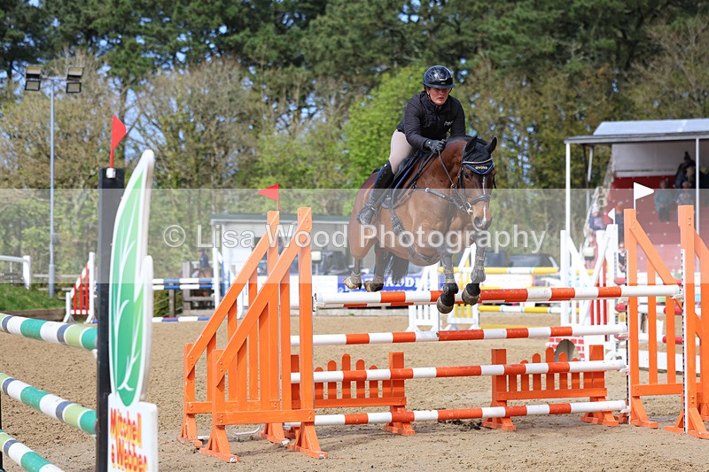 3E7A2236 - Class 8: Senior Foxhunter/1.20 open