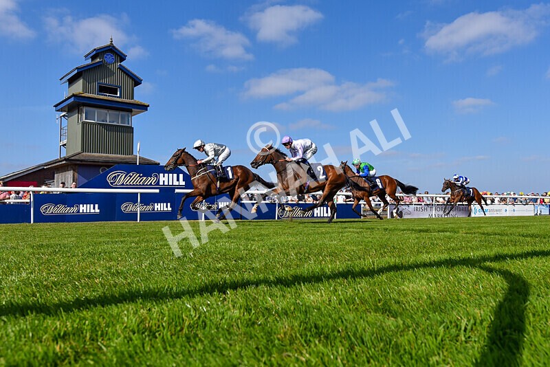 310824-Race 5-Bassadanza-6060 - Race 5
