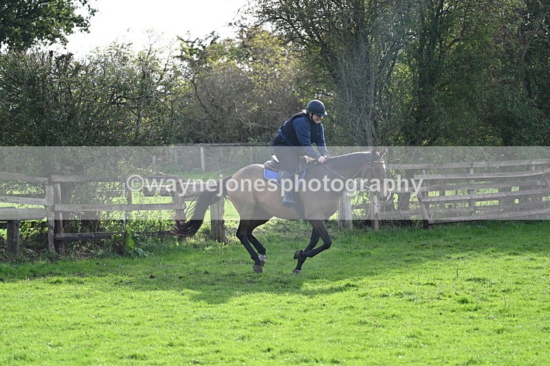 WJ7_0930 - Time 14:27 to 15:11