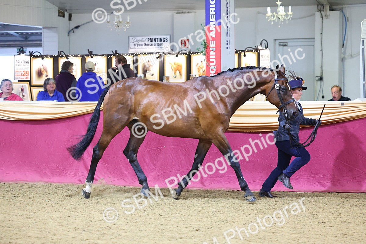 SBM_19595 - Class 901 - Supreme Final - IH Diamond