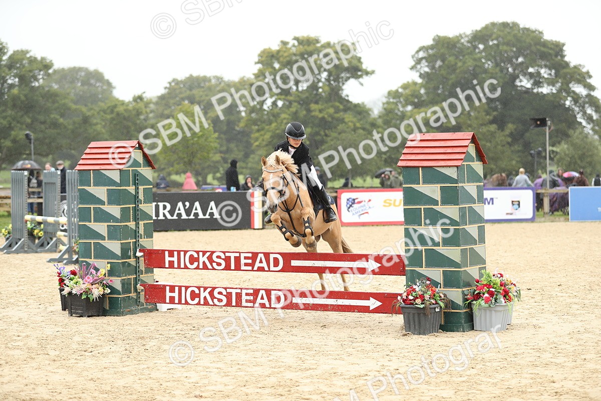 SBM_73700 - J16 - Junior Pony 75cm Championship