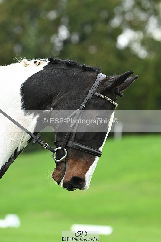 241024-113436-03263 - 508-Connie.Vivian-TEXAS.JACKPOT