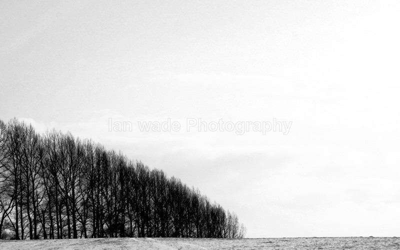  - Somerset landscape Photography