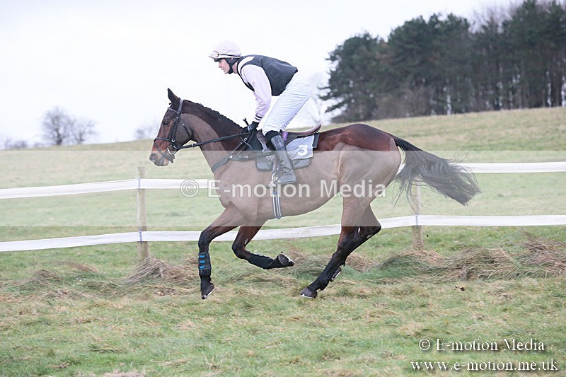 PtP 230119 304 - Royal Artillery Point-to-Point  - Larkhill  - 26/01/19