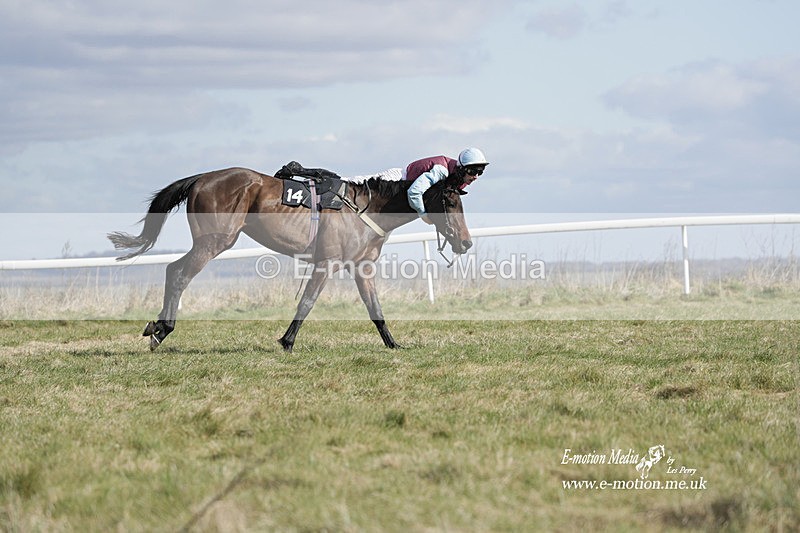 PtP 260223 487 - South & West Wilts Point-to-Point Larkhill 26/02/23